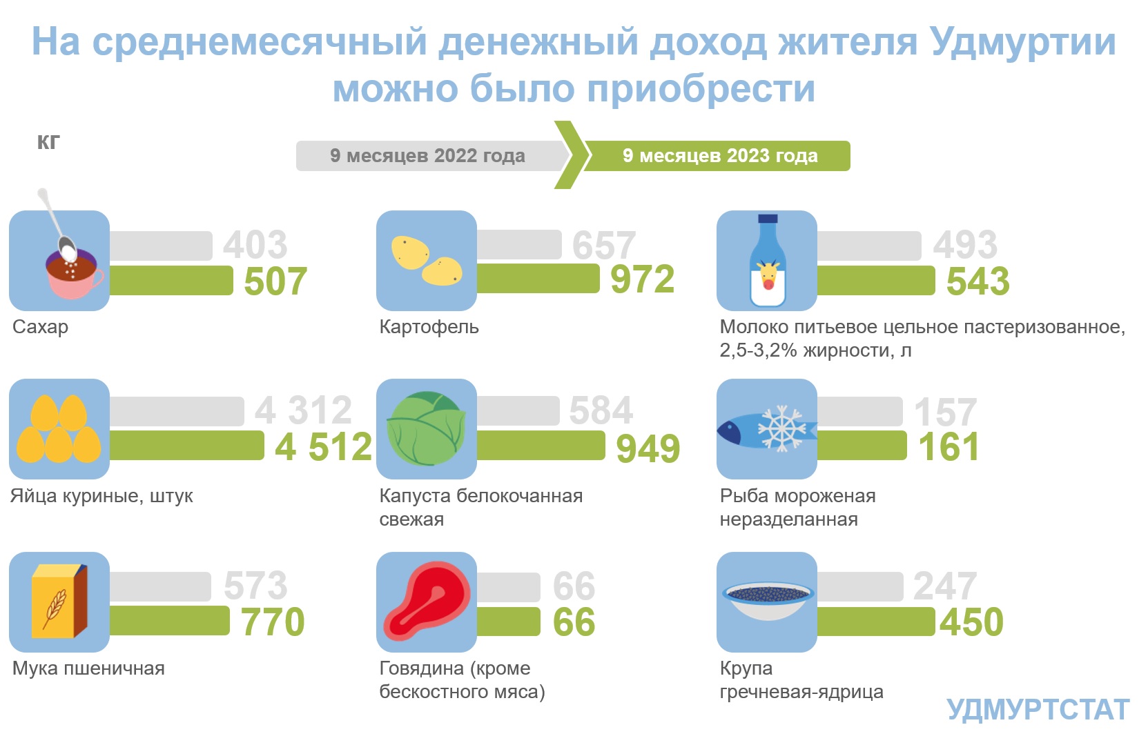 На среднемесячный денежный доход жителя Удмуртии  можно было приобрести.