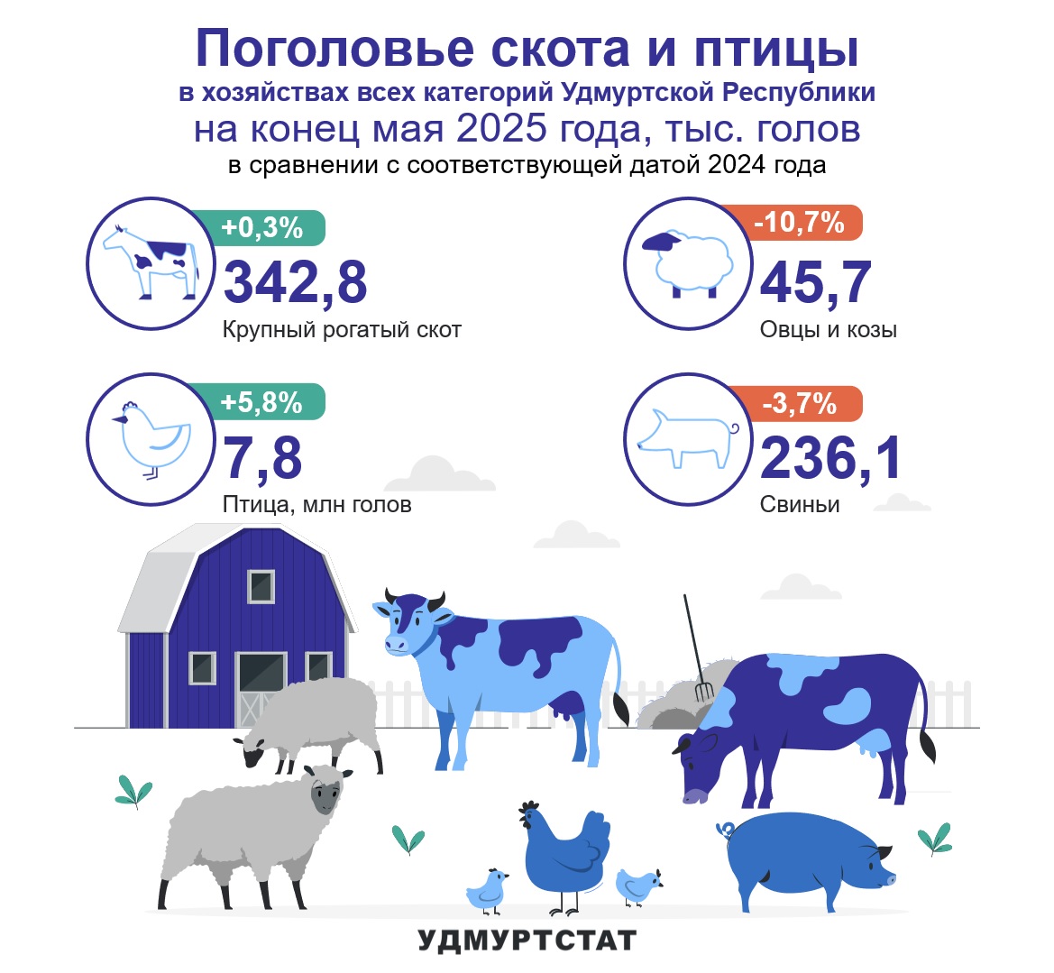 Поголовье скота и птицы на конец мая 2025 года.